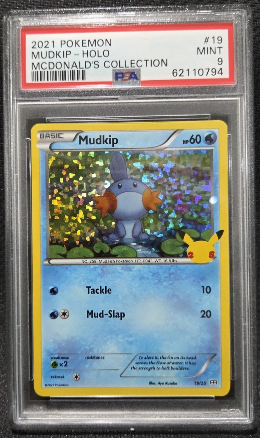 Mudkip