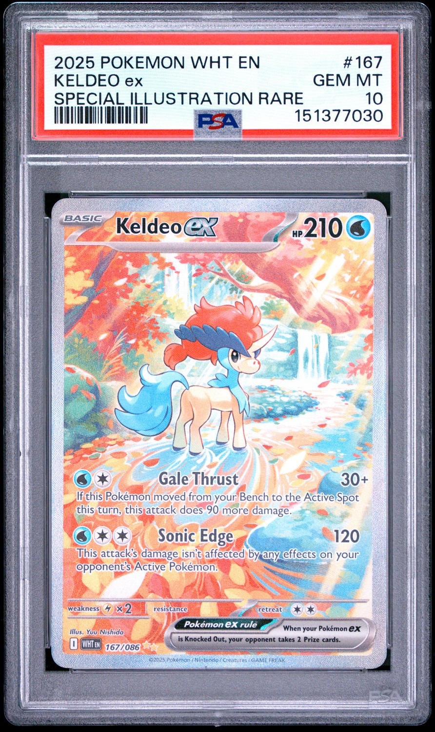KELDEO ex