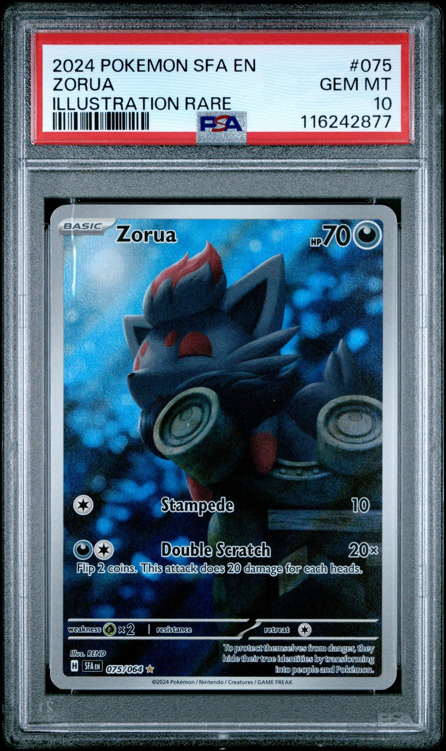 Zorua