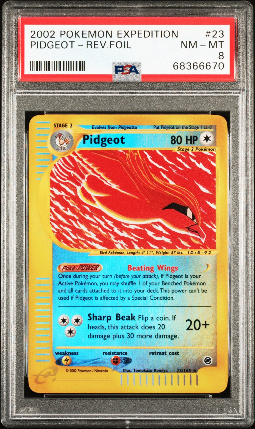 Pidgeot