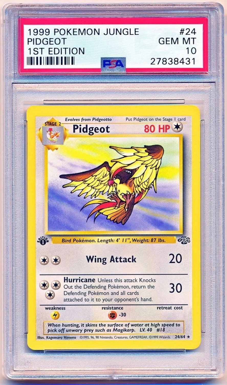 Pidgeot