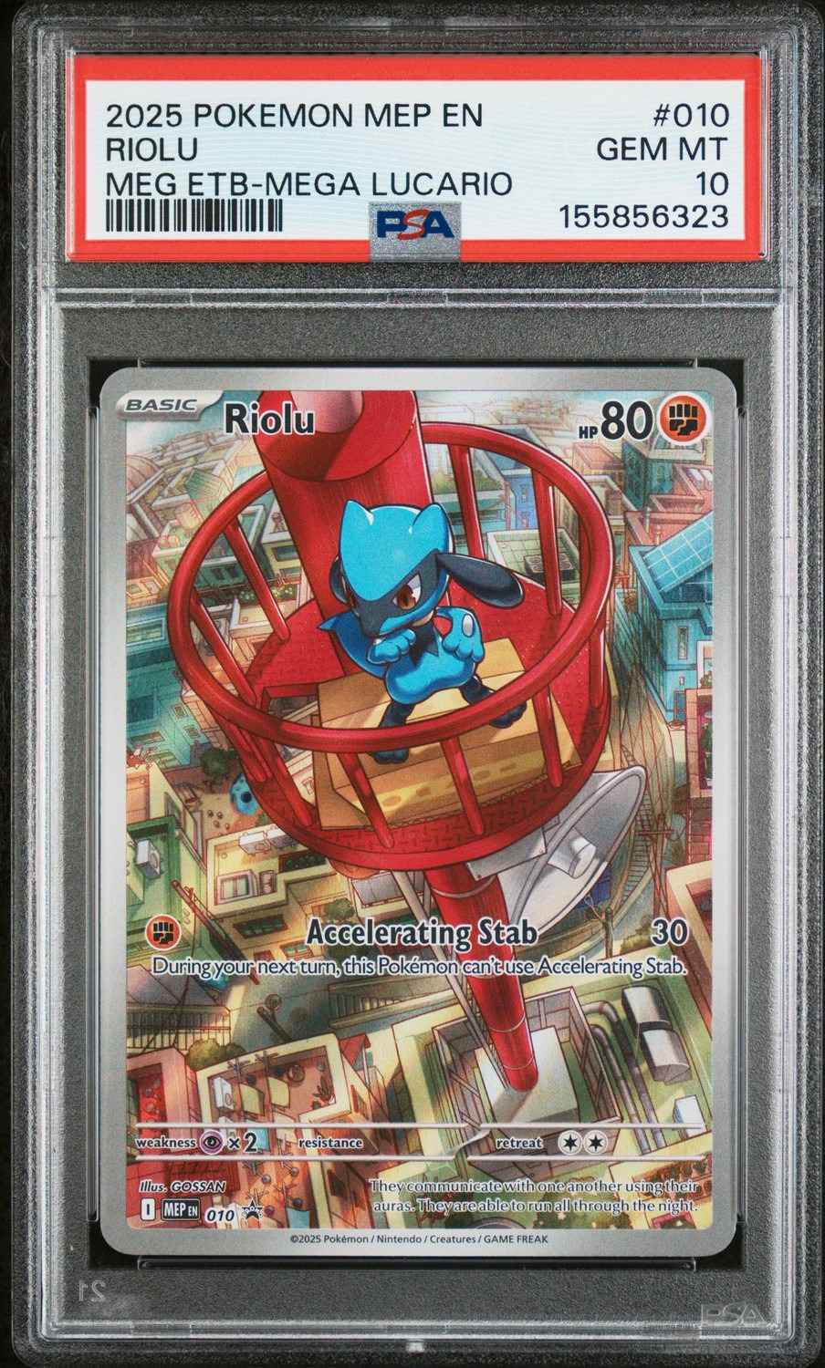 Riolu