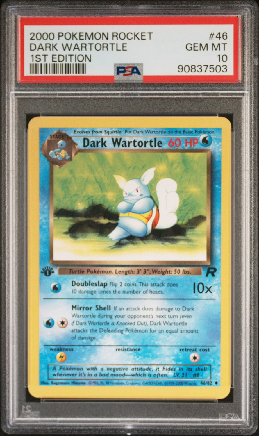 Dark Wartortle