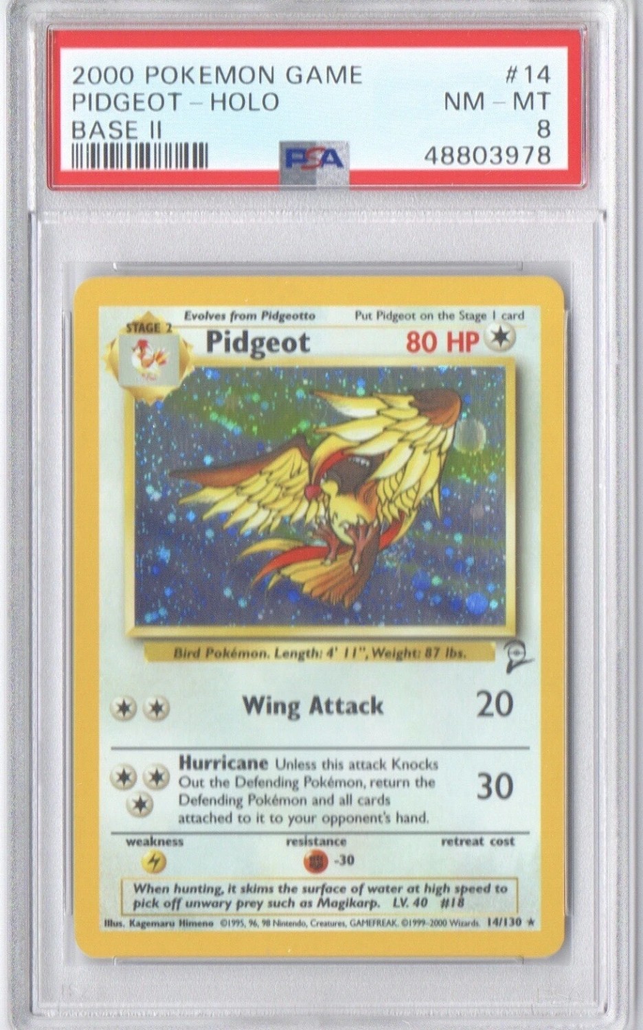 Pidgeot
