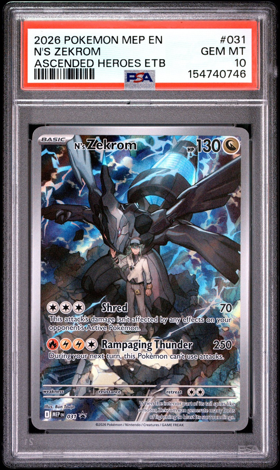 N's Zekrom