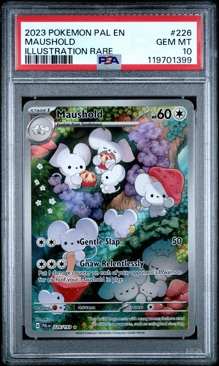 Maushold