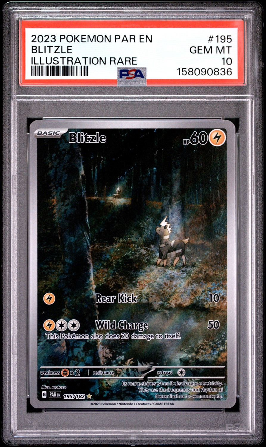 Blitzle