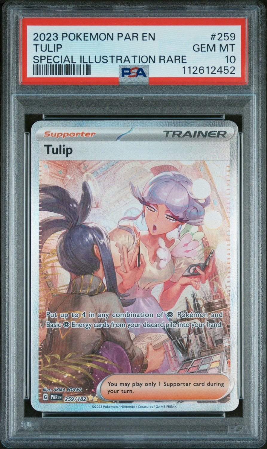 Tulip
