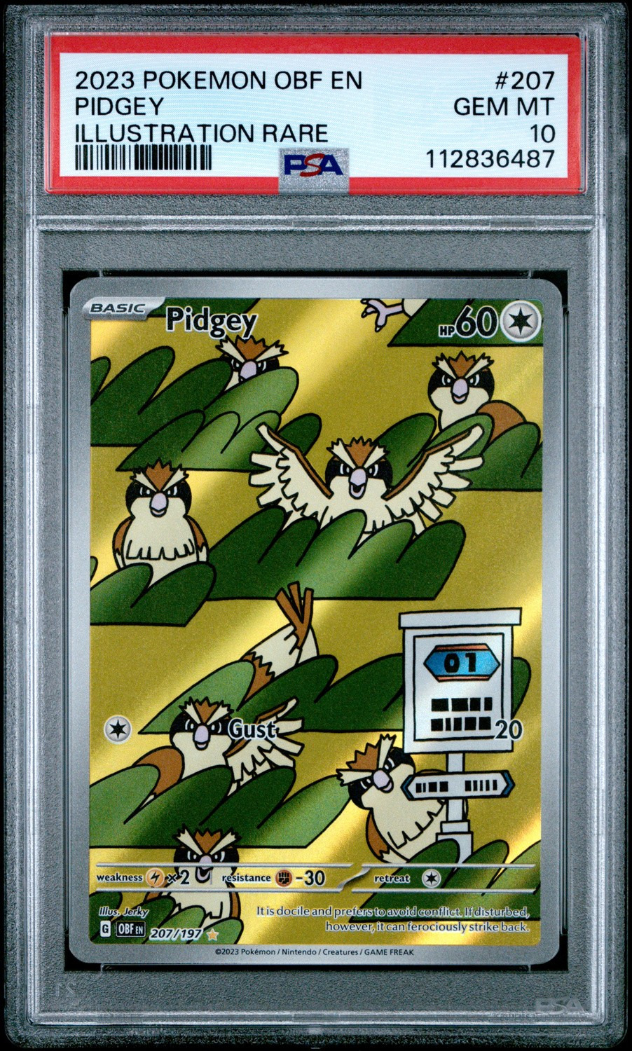 Pidgey