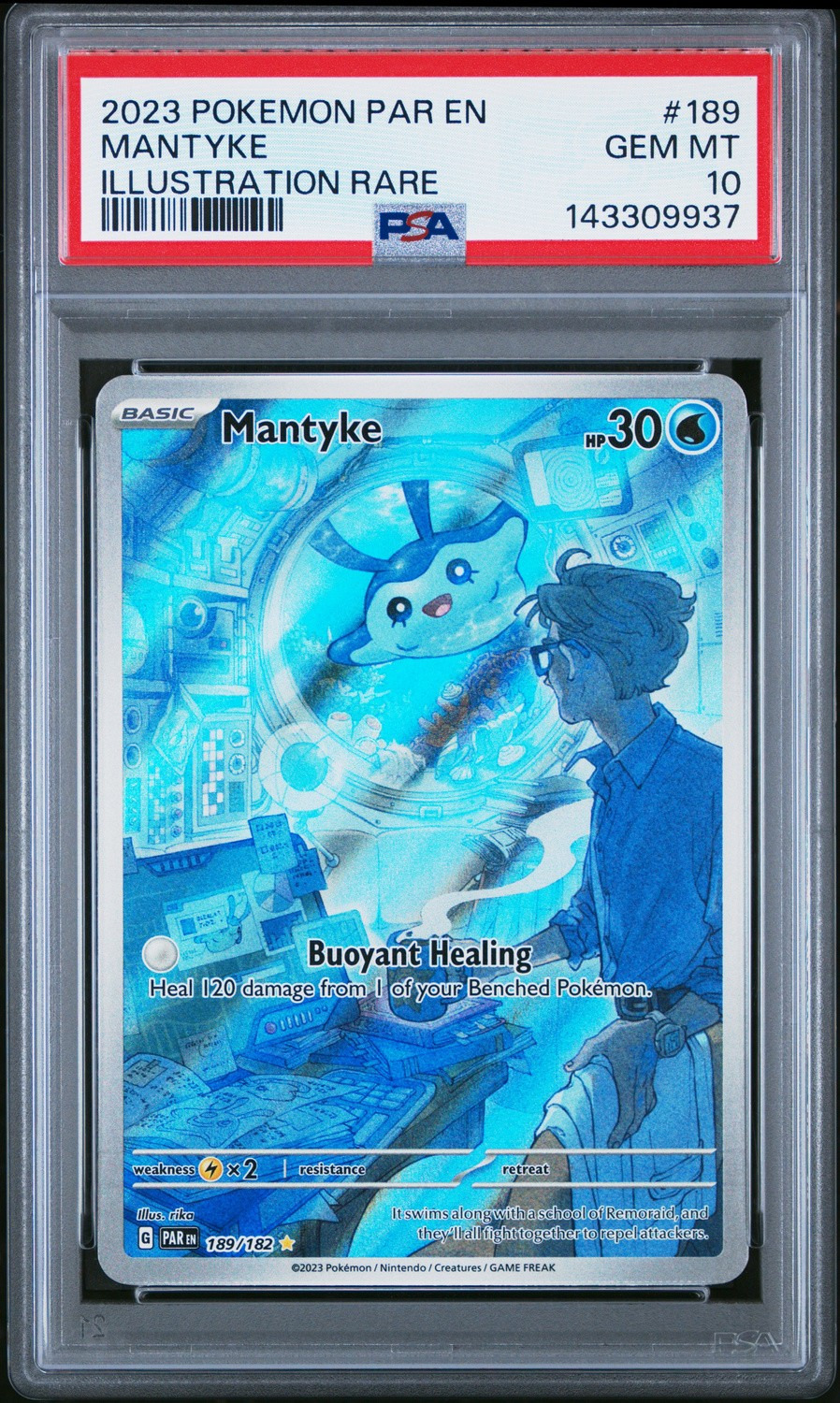 Mantyke