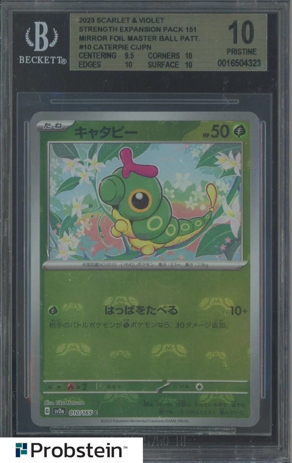 Caterpie