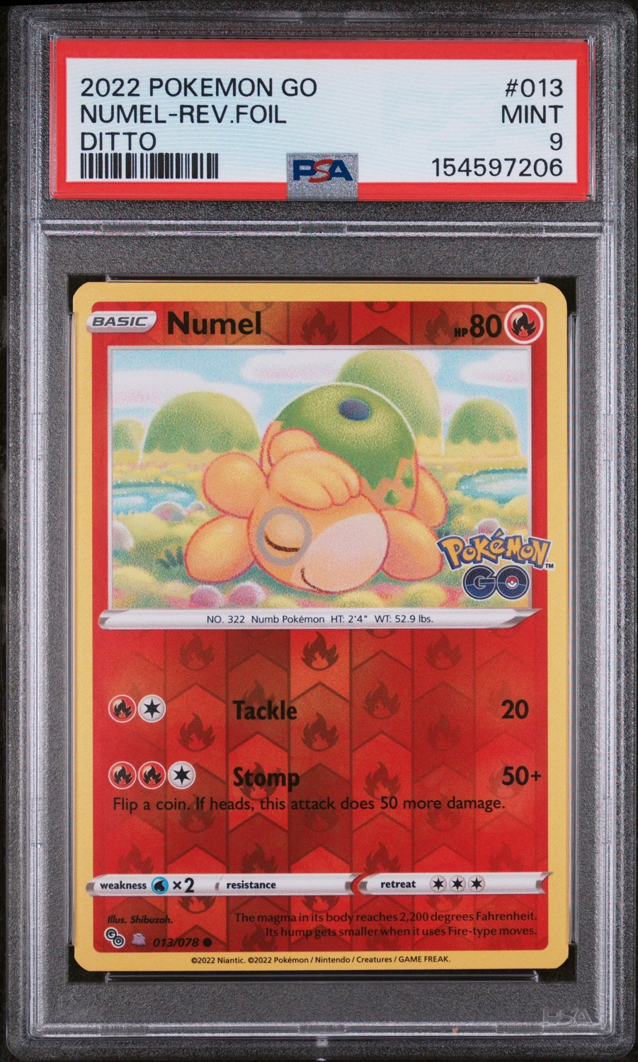 Numel (Ditto)