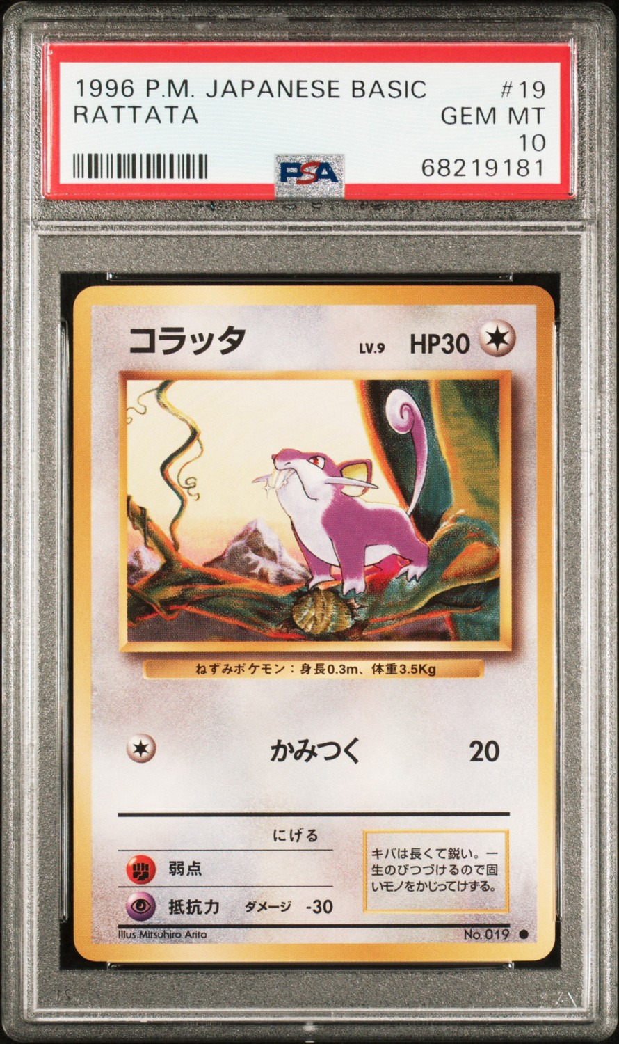 Rattata