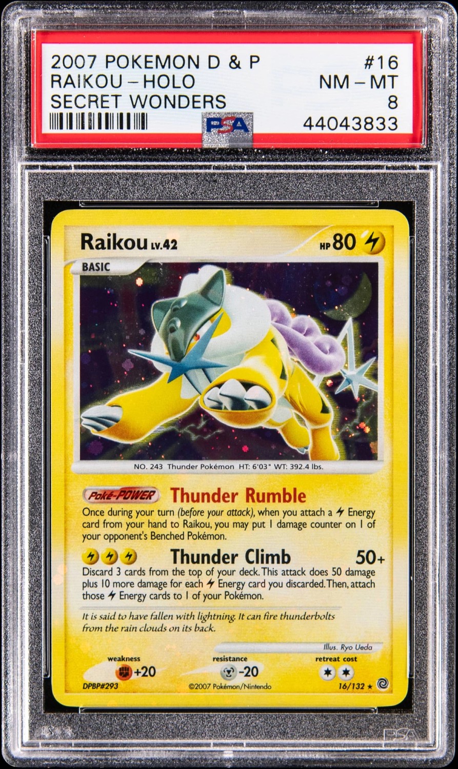 Raikou