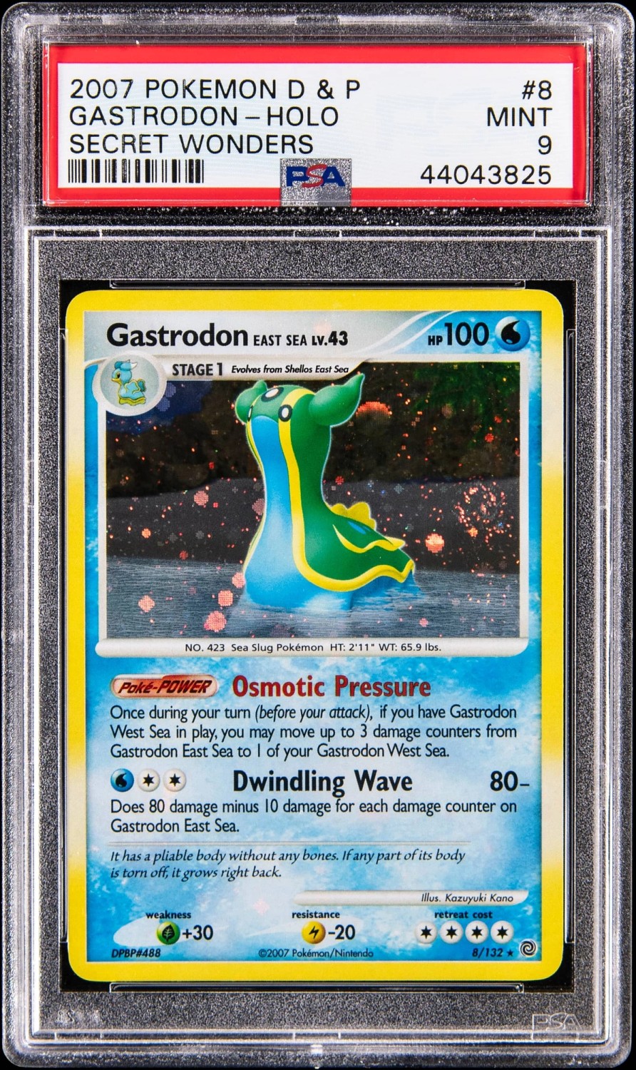 Gastrodon