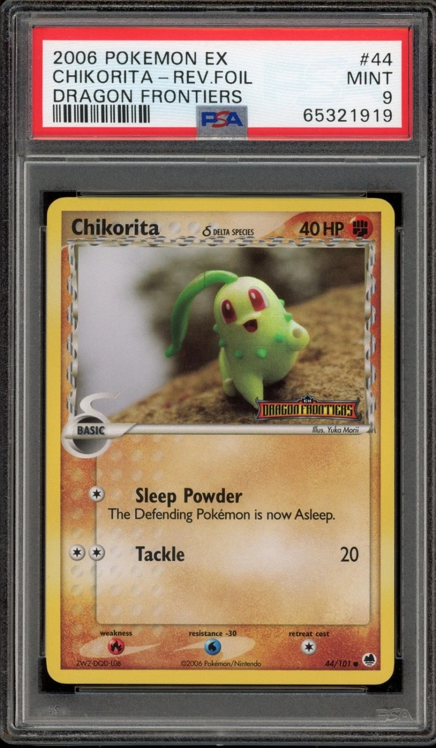 Chikorita δ