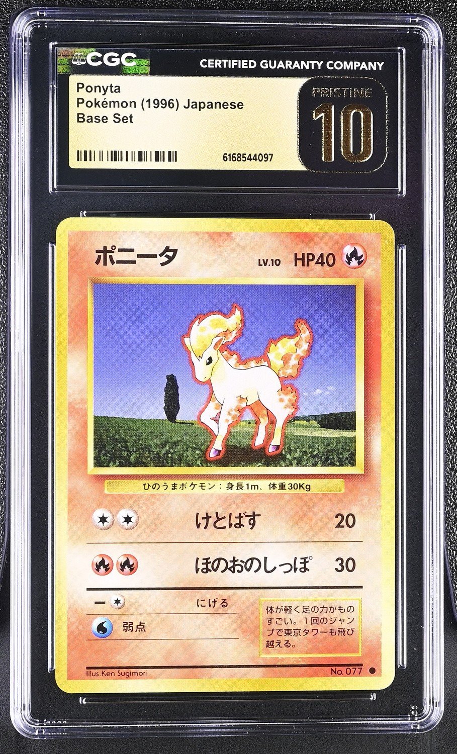 Ponyta