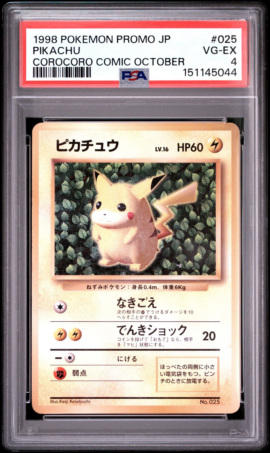 Ivy Pikachu
