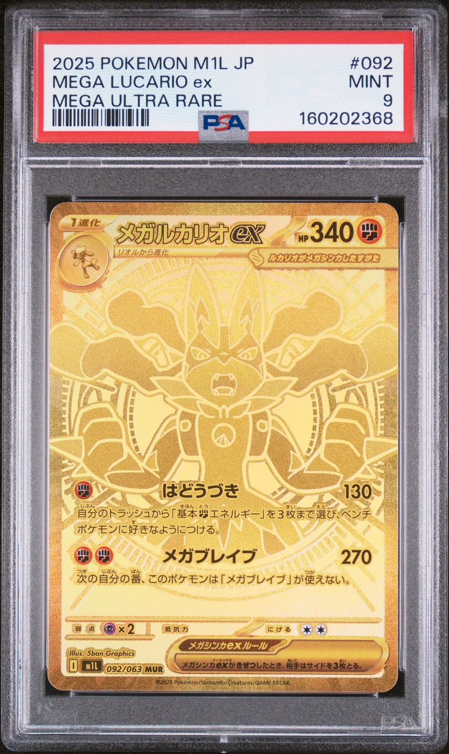 MEGA LUCARIO ex