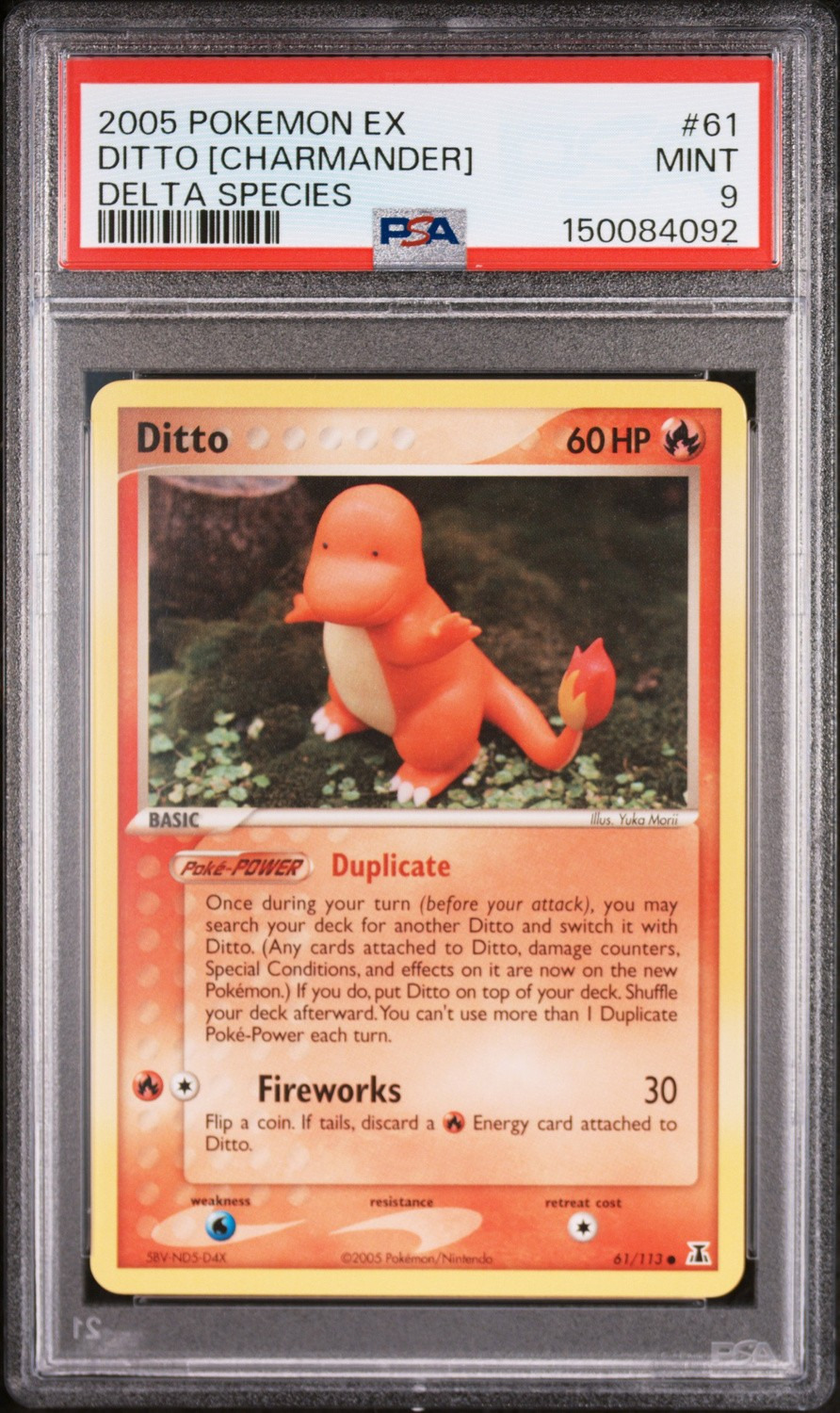 Ditto [Charmander]