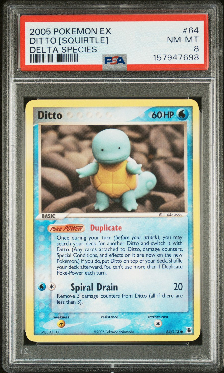 Ditto [Squirtle]