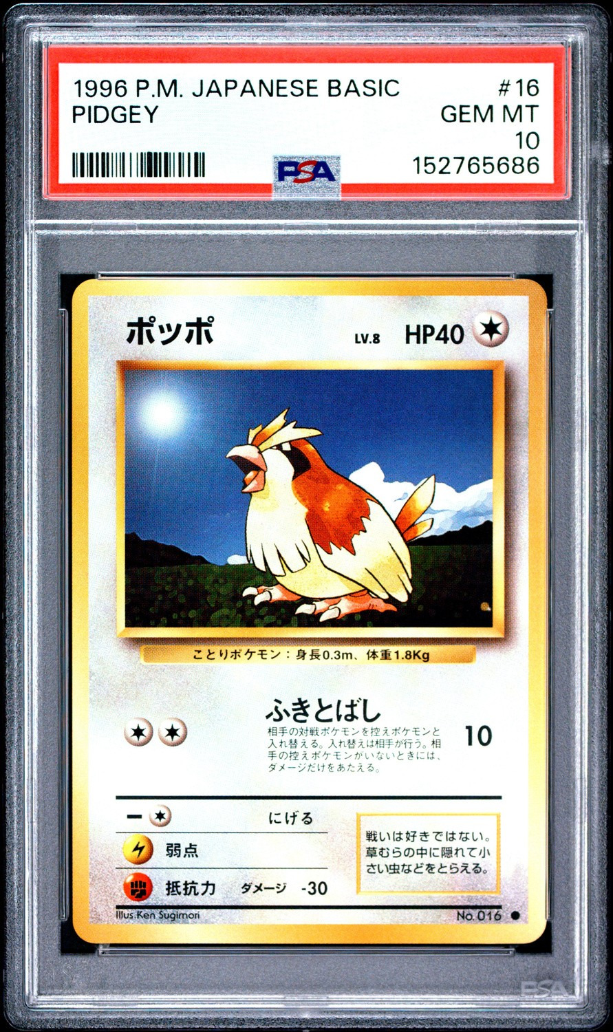 Pidgey