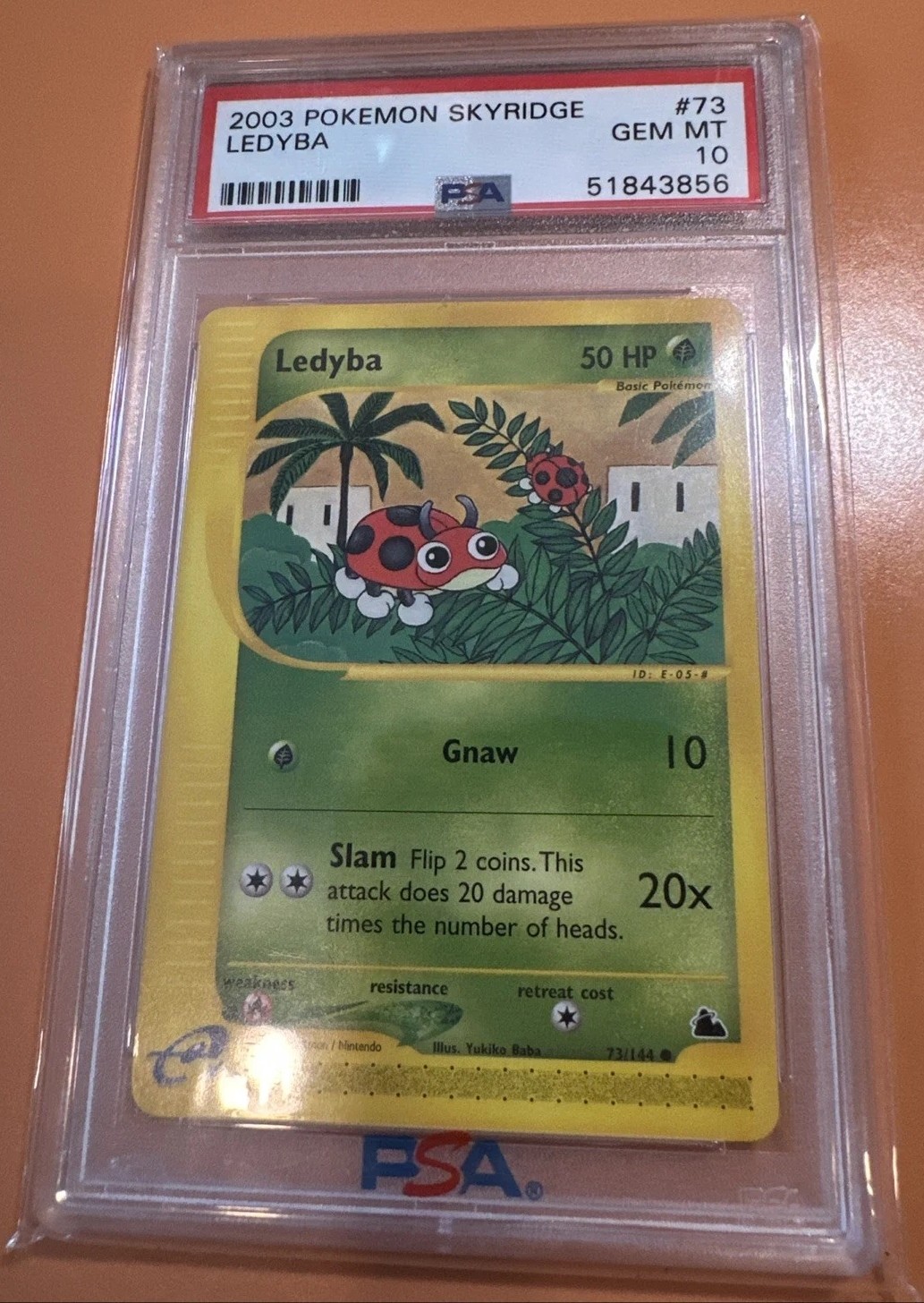 Ledyba