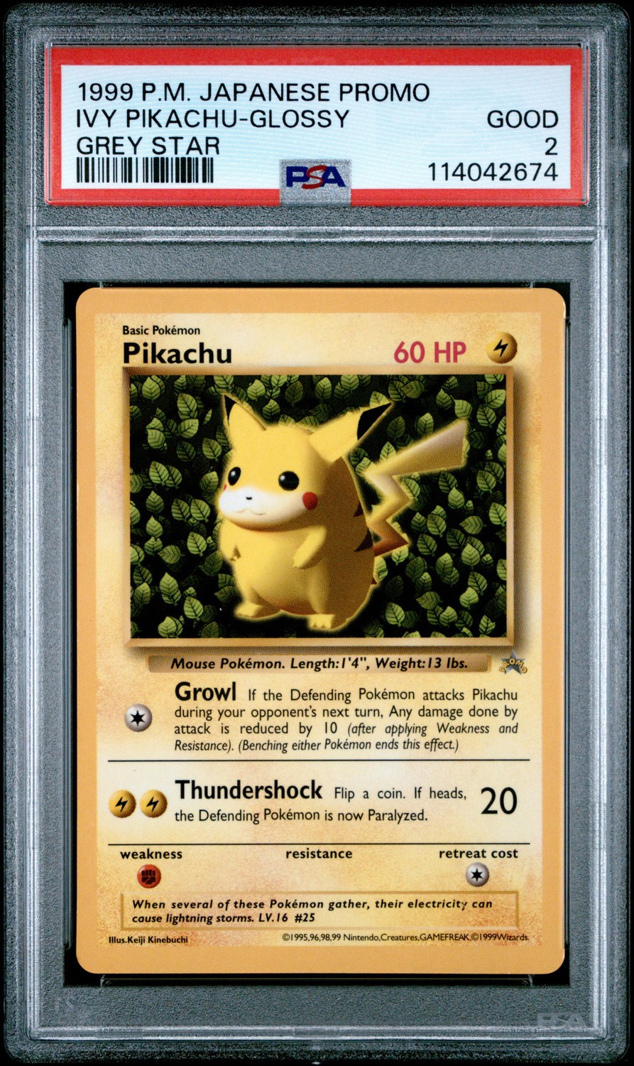 IVY PIKACHU