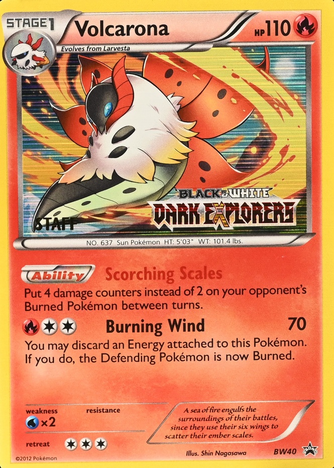 Holo · Prerelease