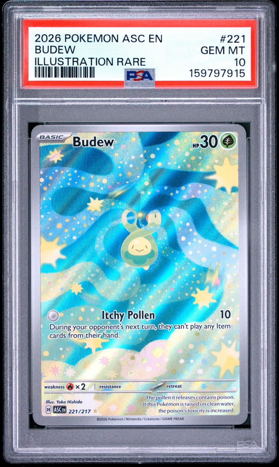 Budew