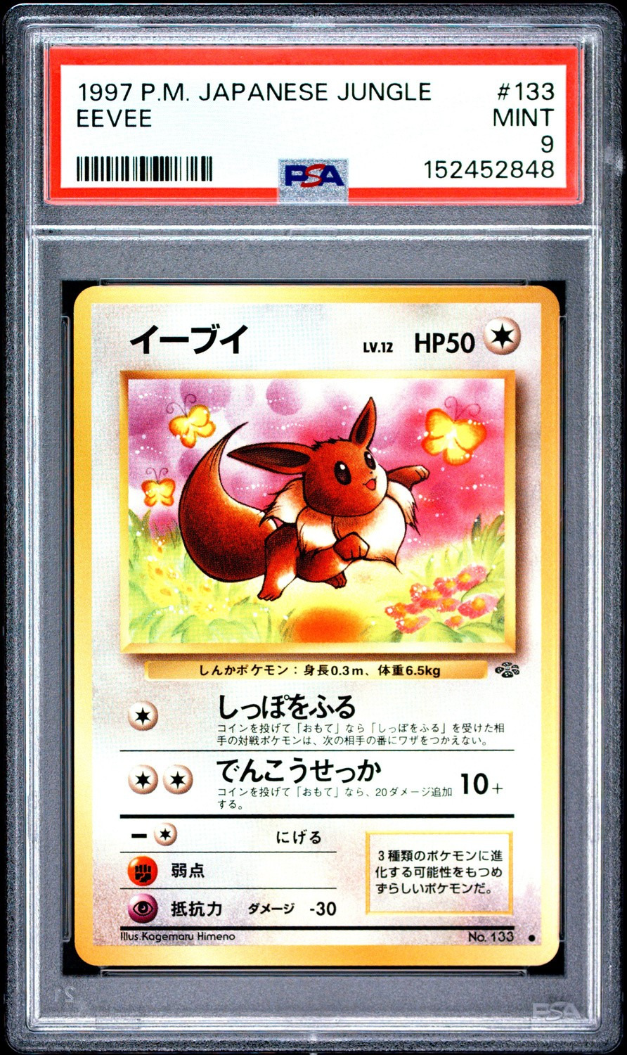 Eevee