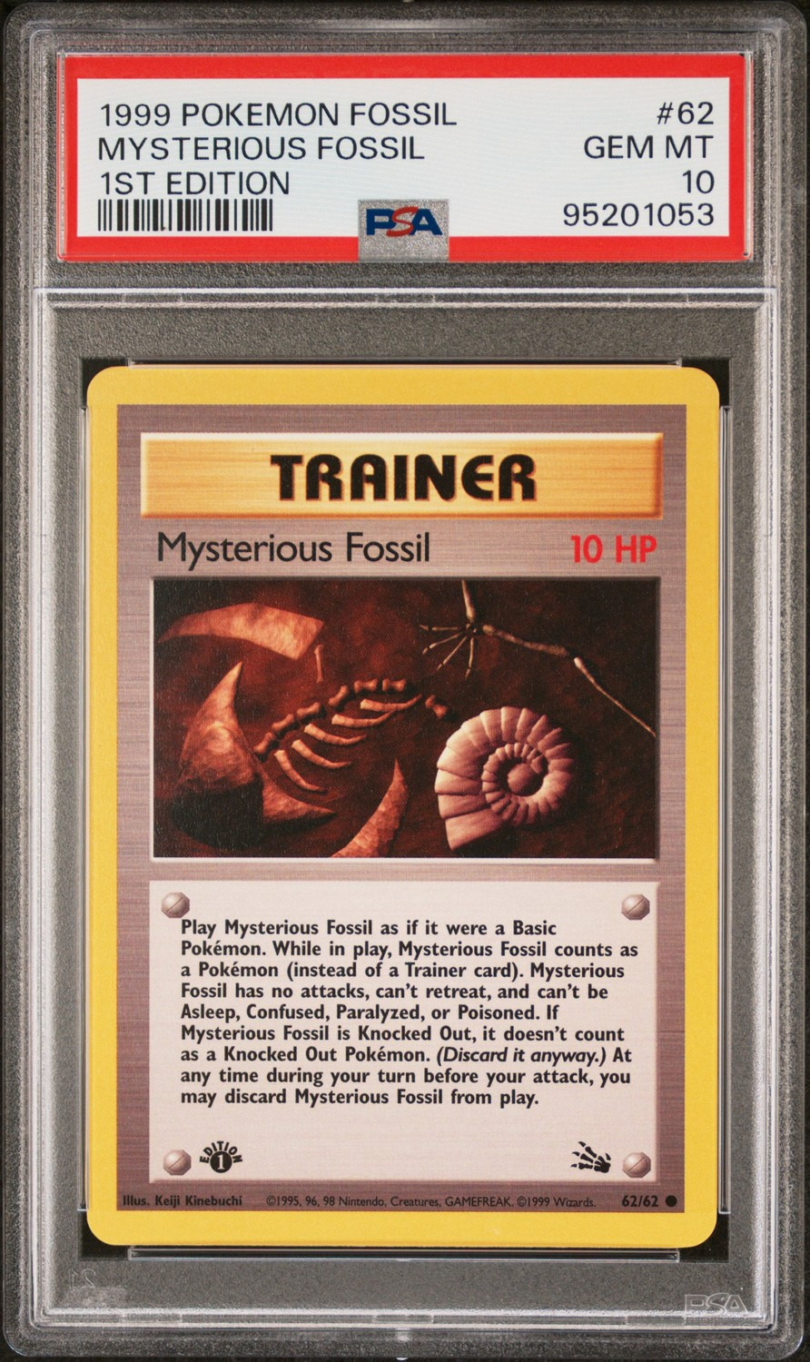 Mysterious Fossil