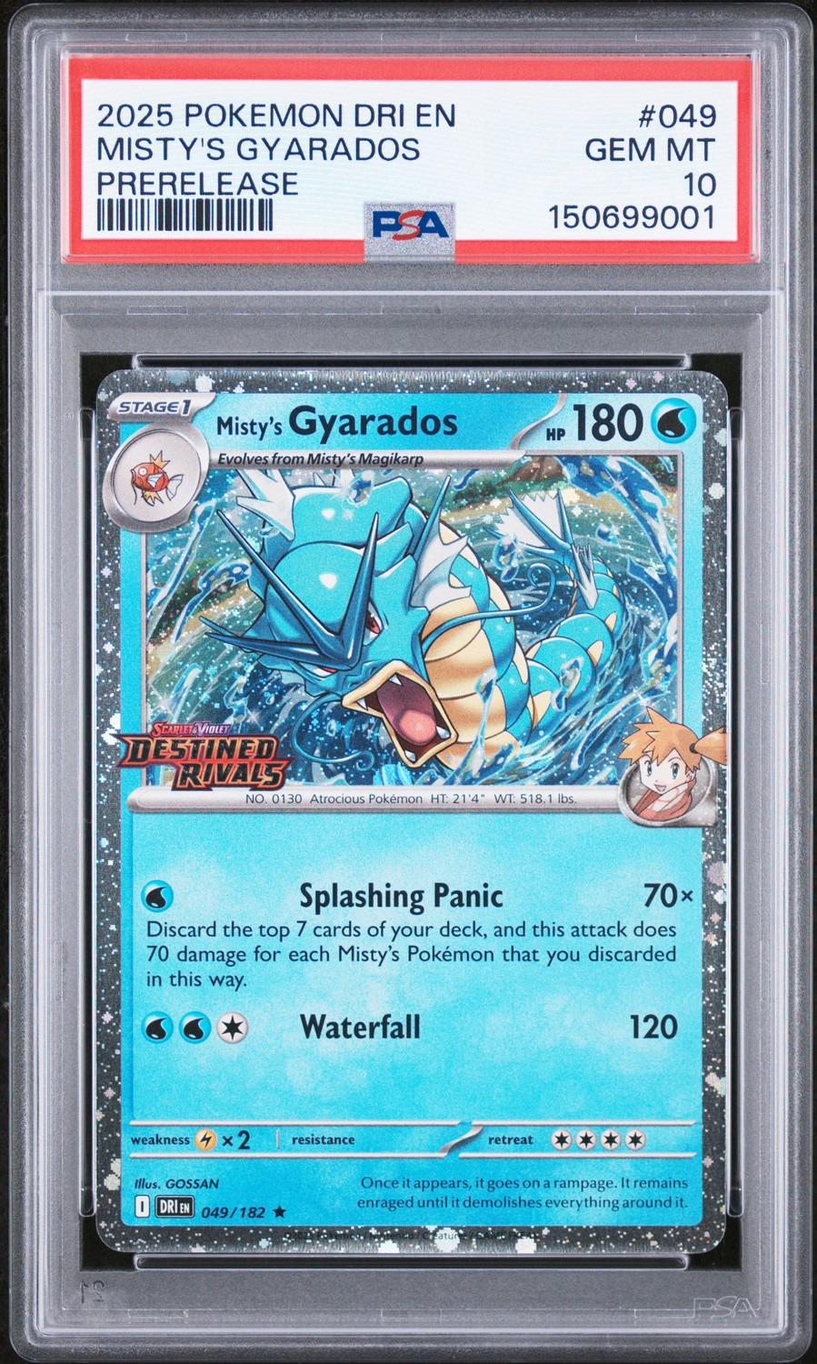 Misty's Gyarados