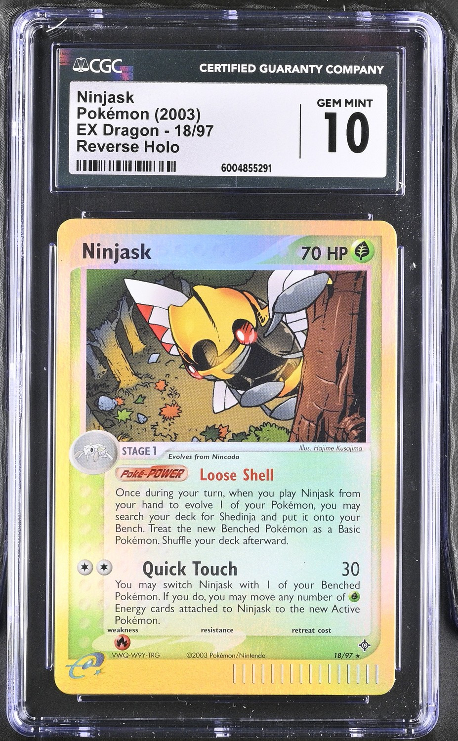 Ninjask