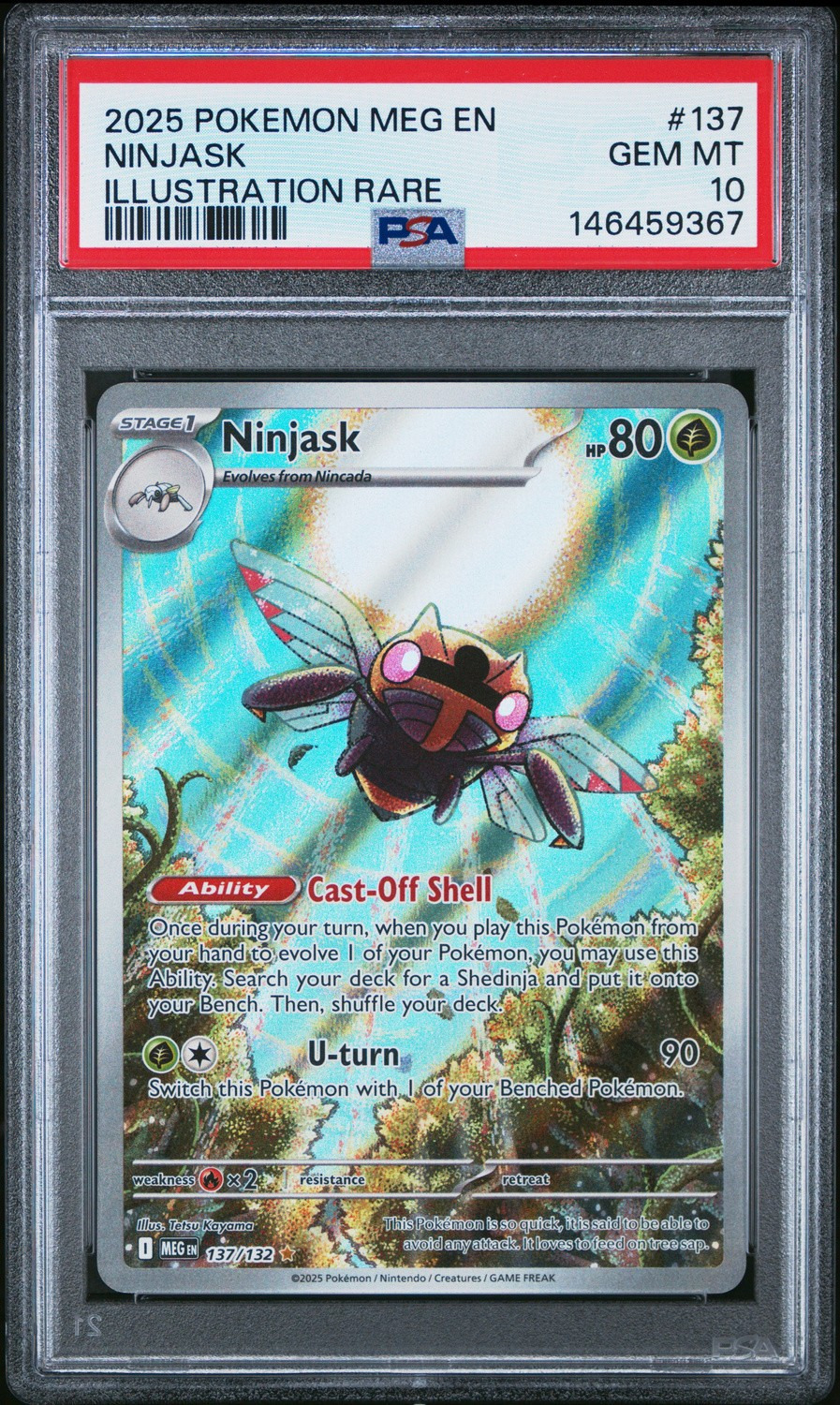 Ninjask
