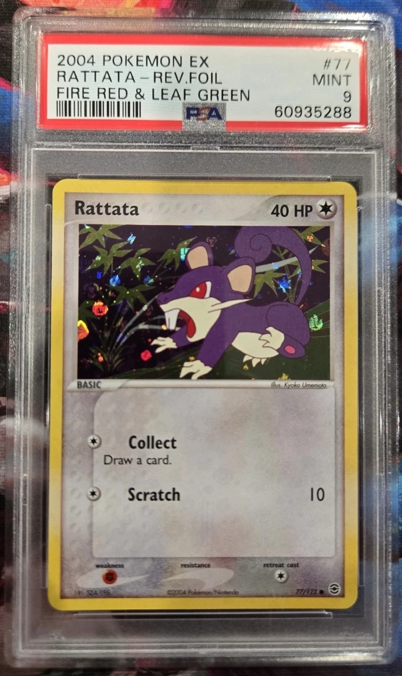Rattata