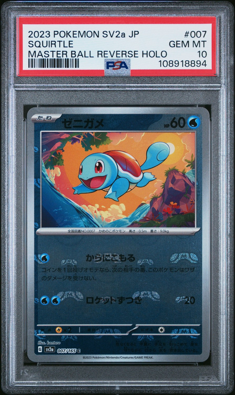 Squirtle