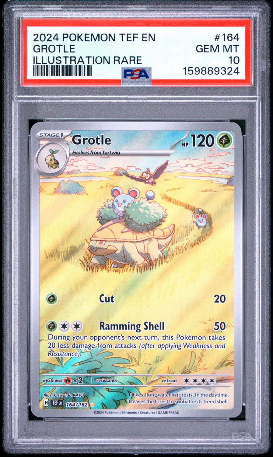 Grotle