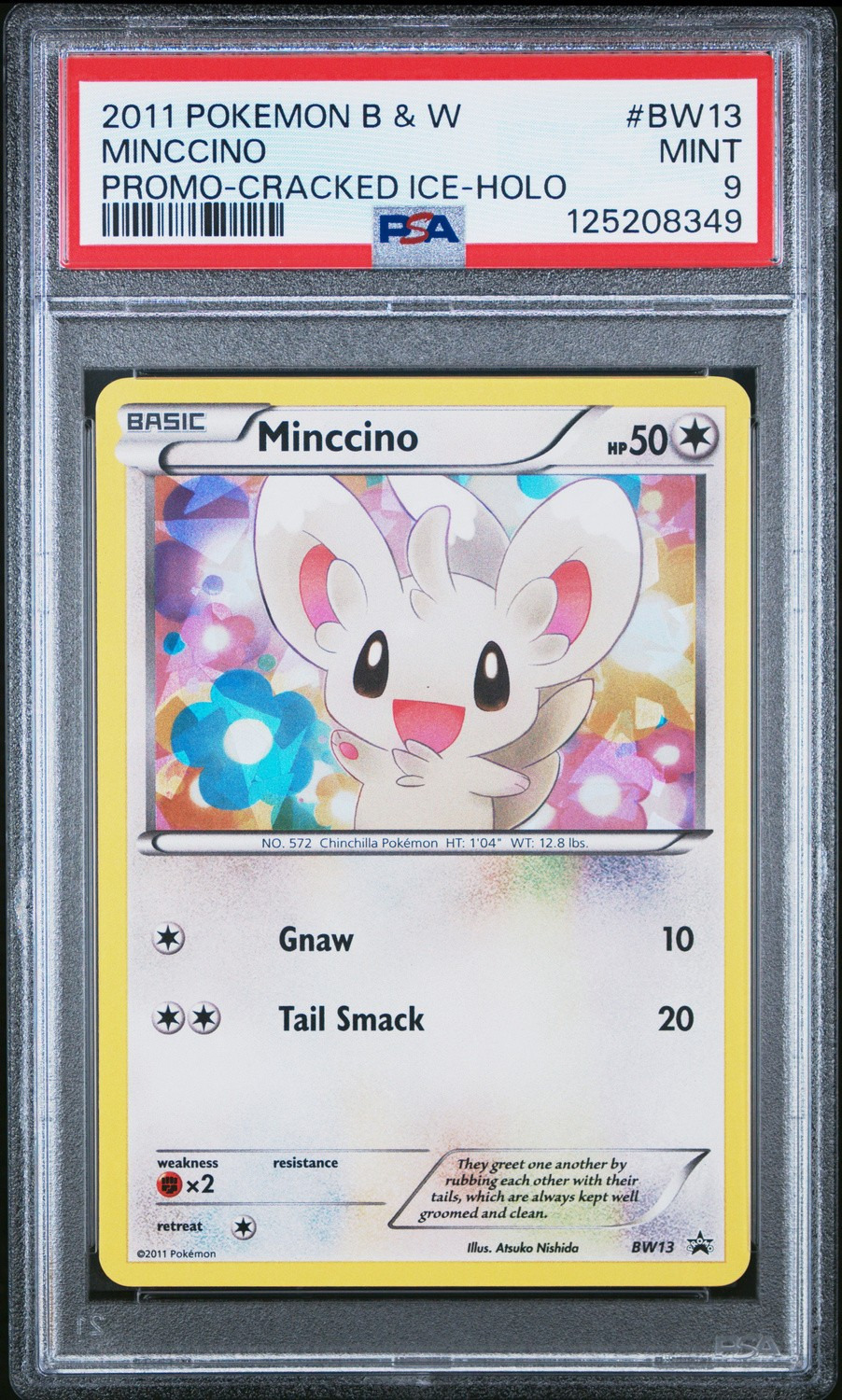 Minccino