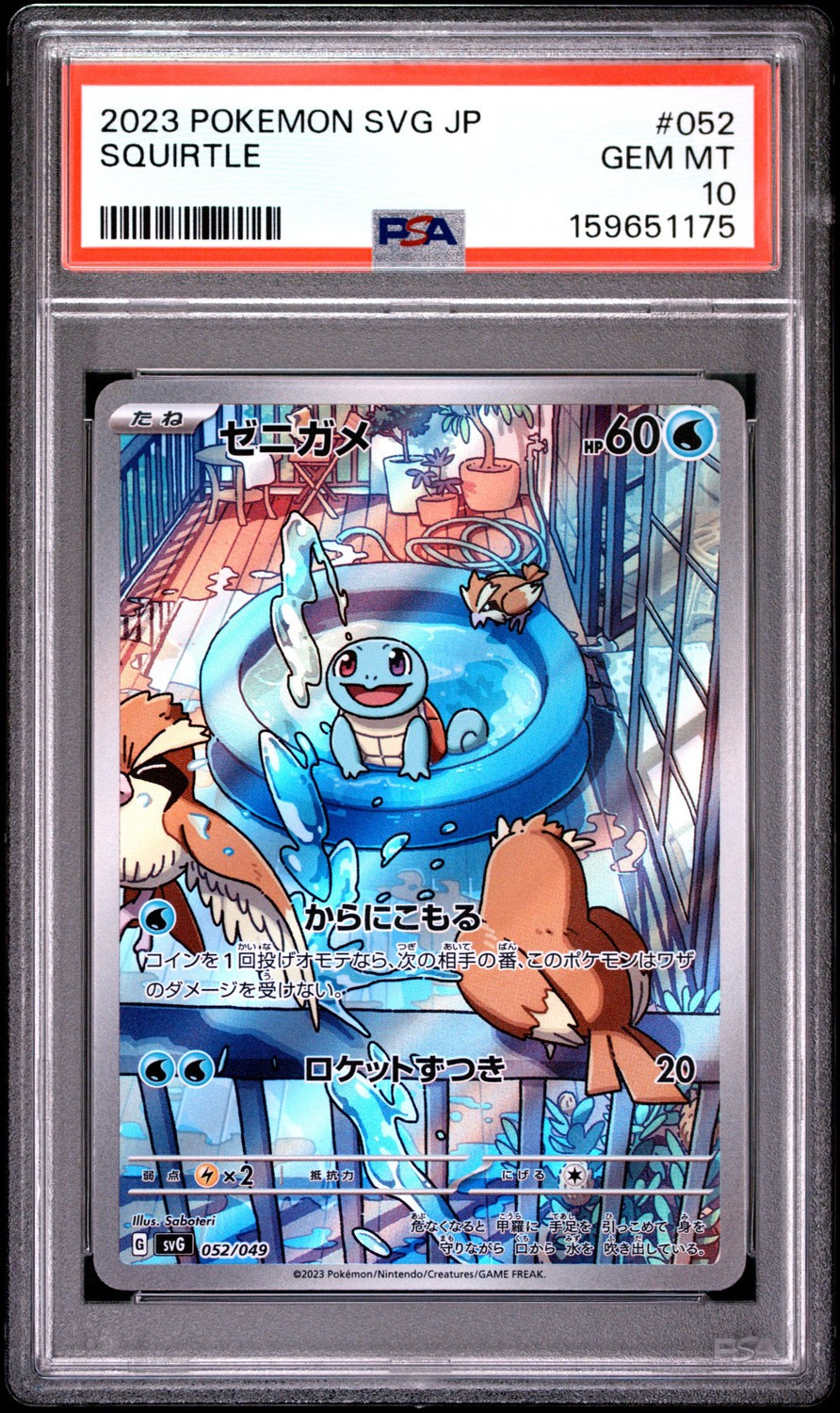 Squirtle