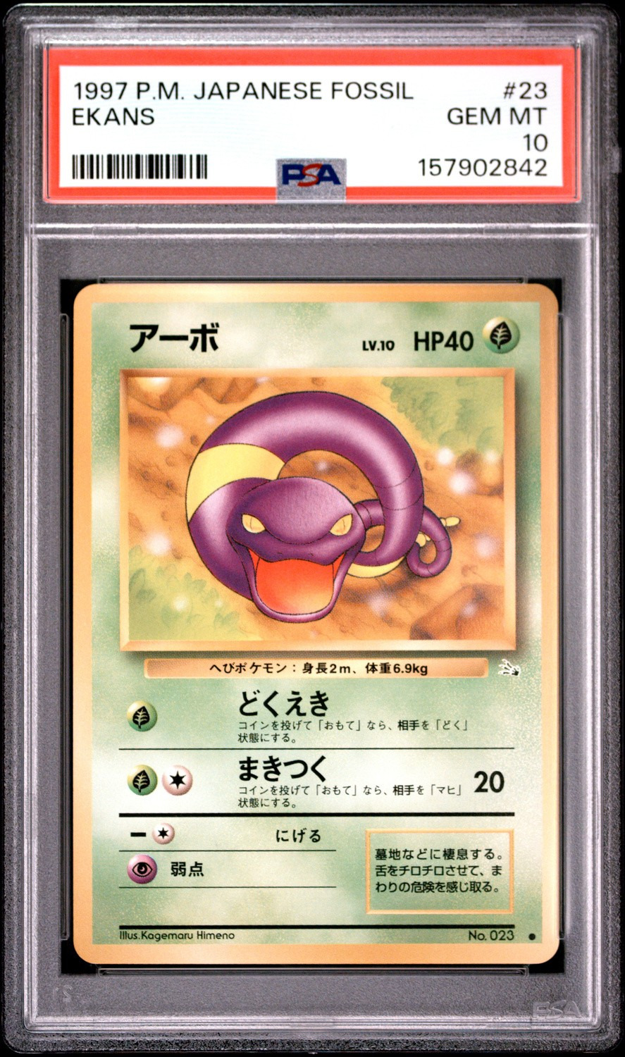 Ekans