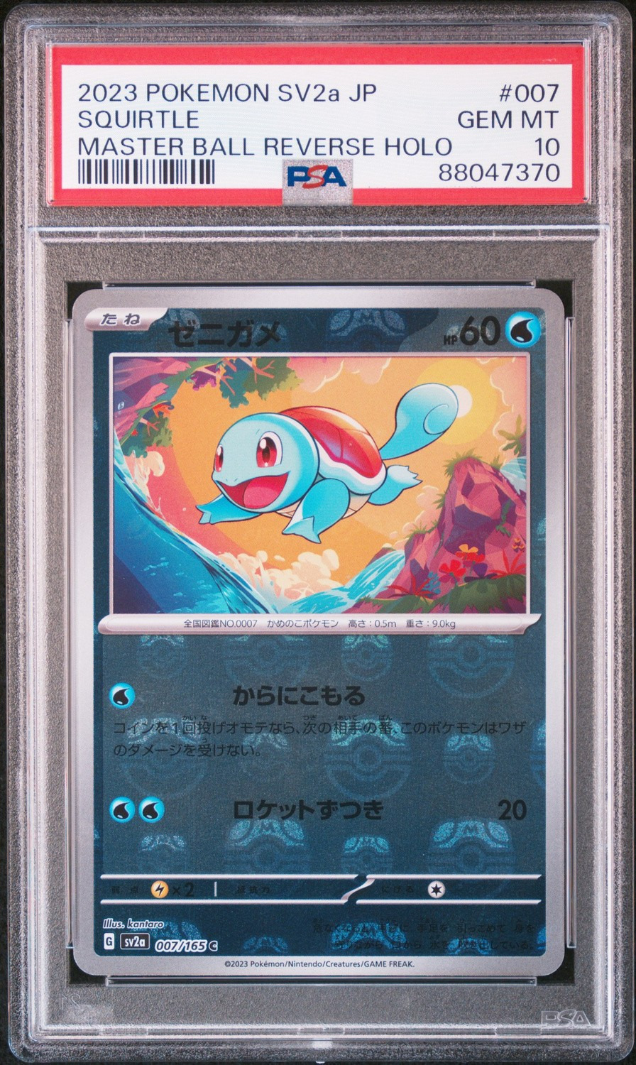Squirtle