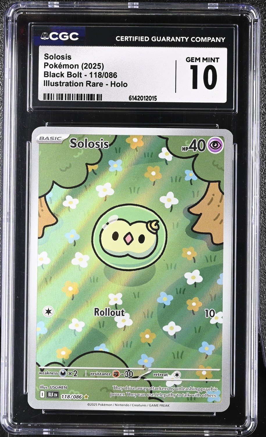 Solosis