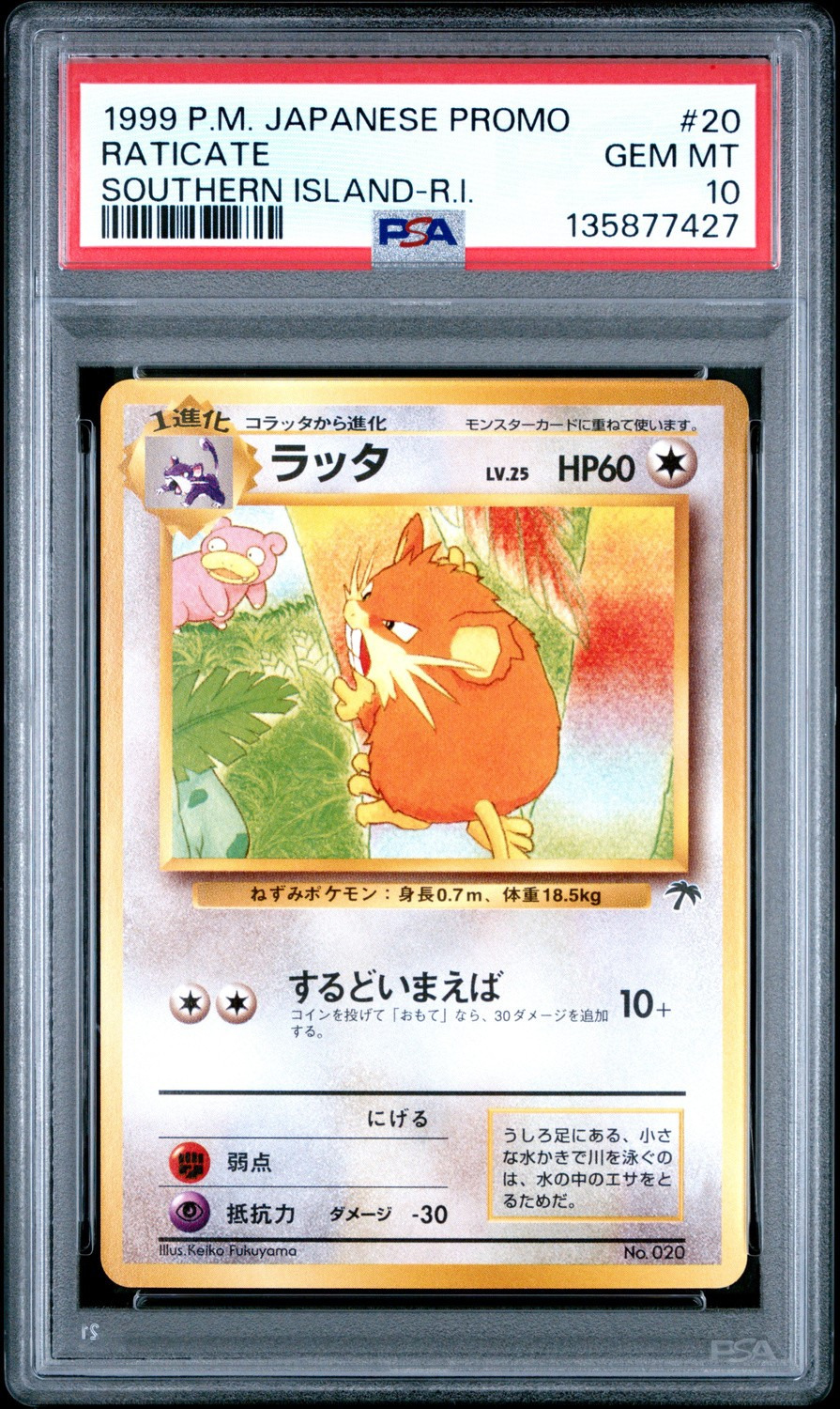 Raticate