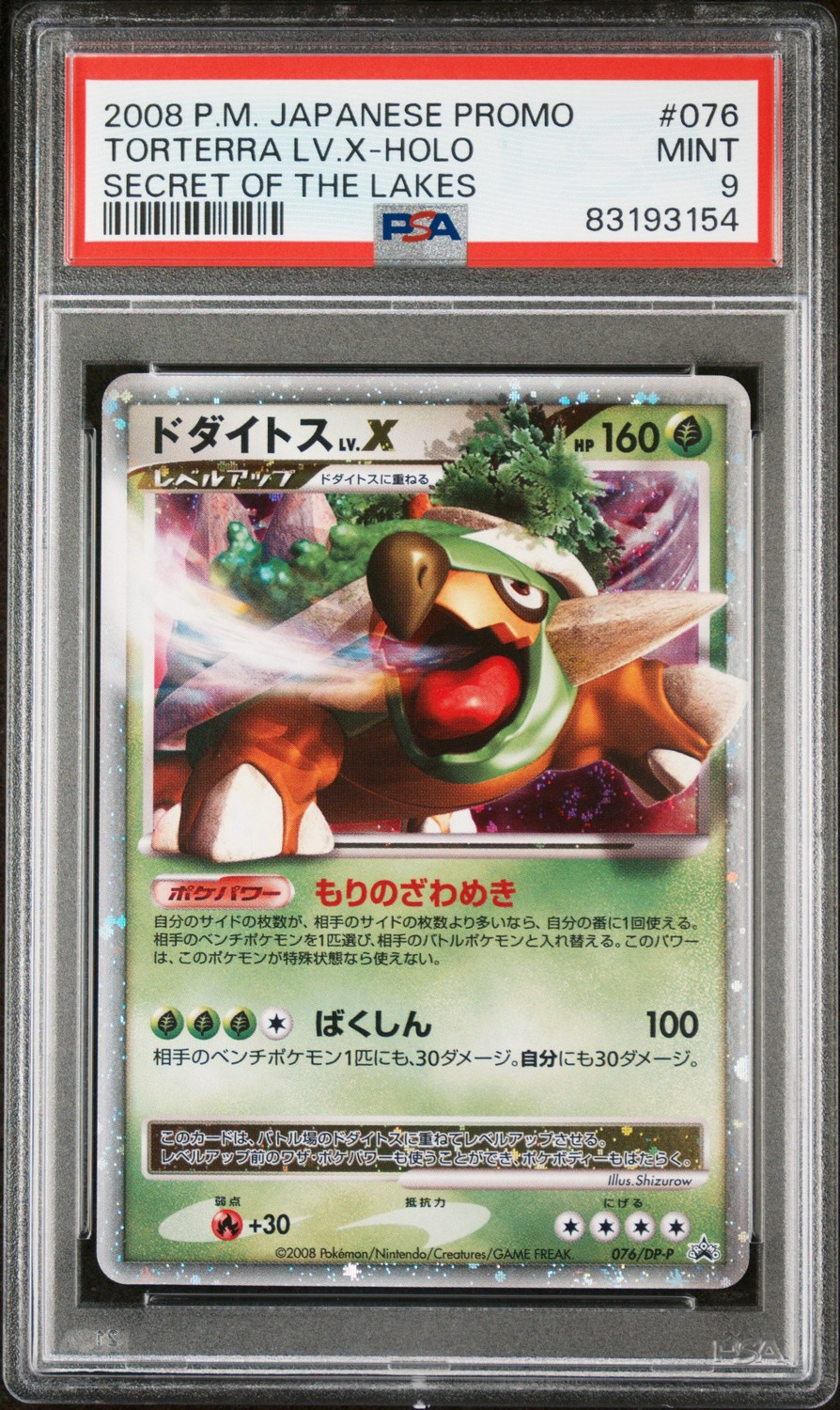TORTERRA LV.X