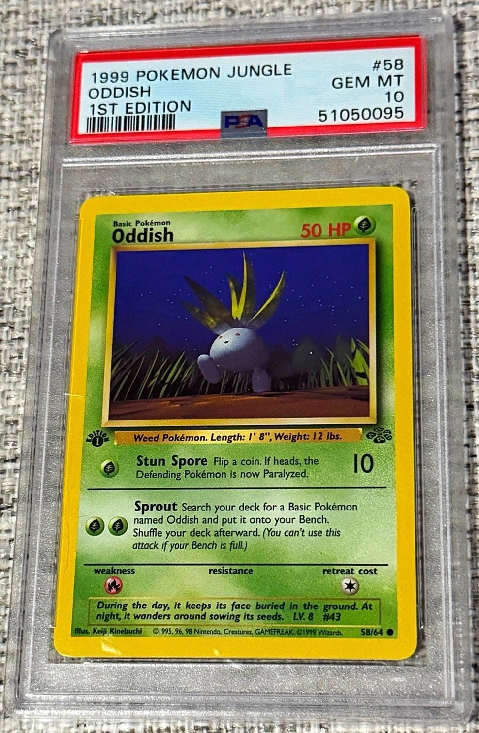 Oddish