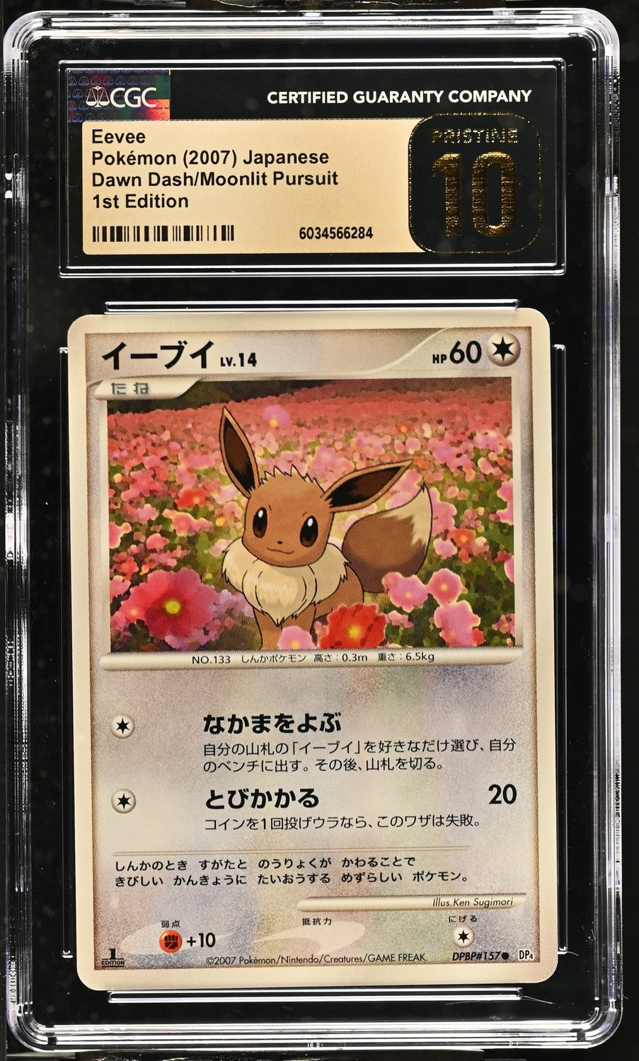 Eevee