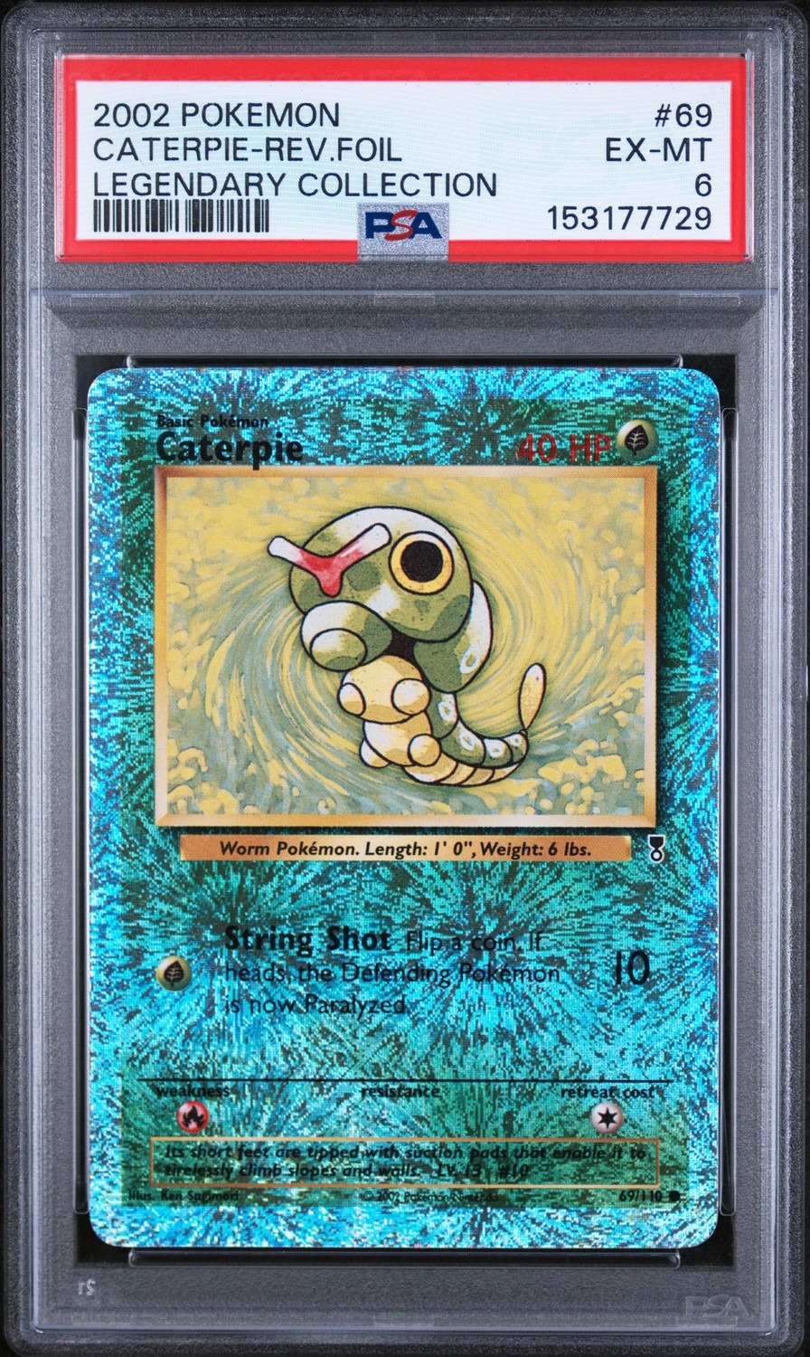 Caterpie
