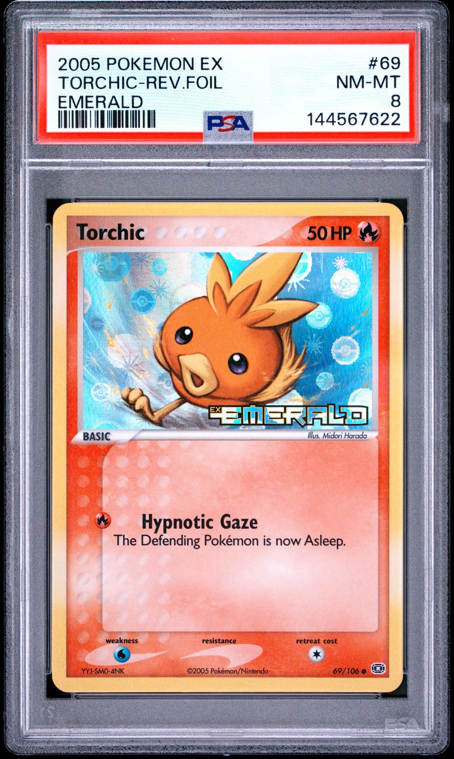Torchic