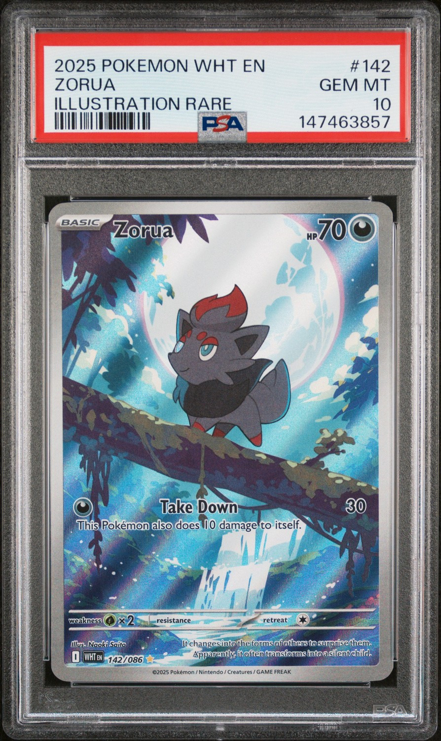 Zorua